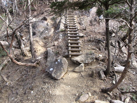 20190108hike (401)